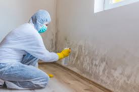 Best Crawl Space Mold Remediation  in , WV